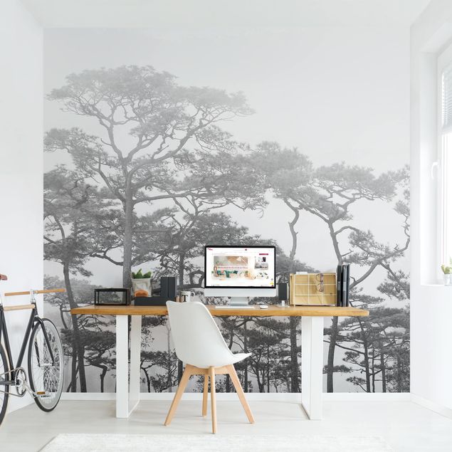 Adhesive wallpaper forest - Treetops In Fog Black And White