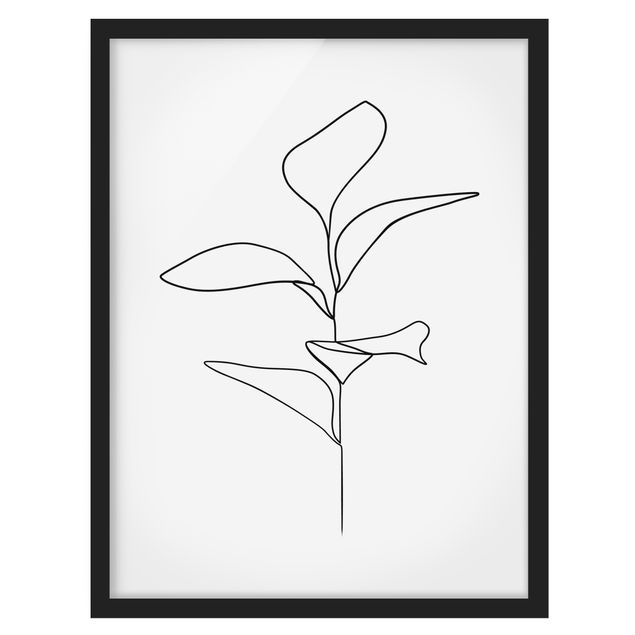 Framed poster - Line Art Plant Leaves Black And White