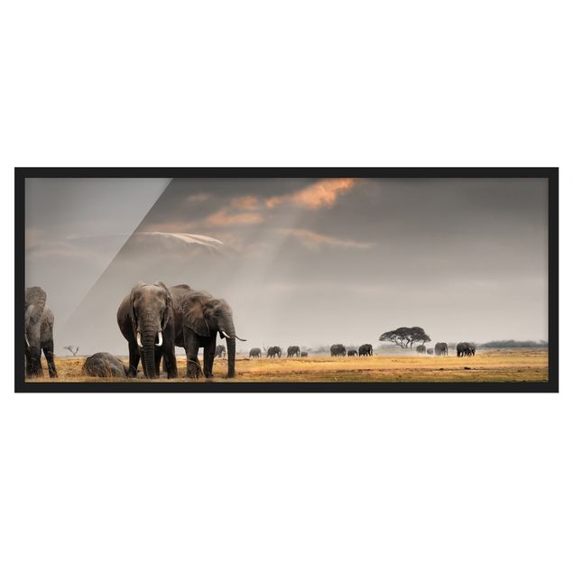 Framed poster - Elephants in the Savannah