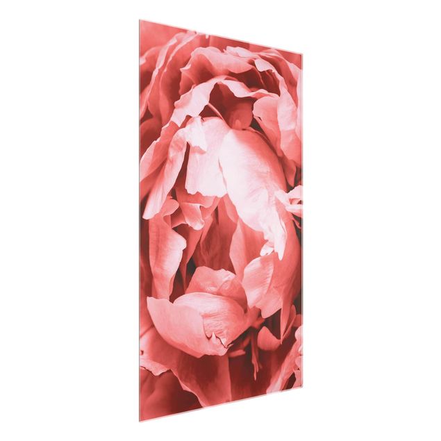 Glass print - Peony Blossom Coral