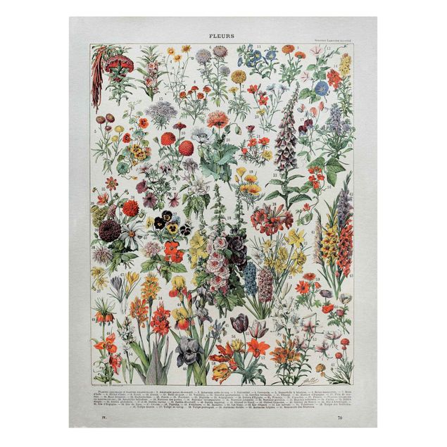 Print on canvas - Vintage Board Flowers IV
