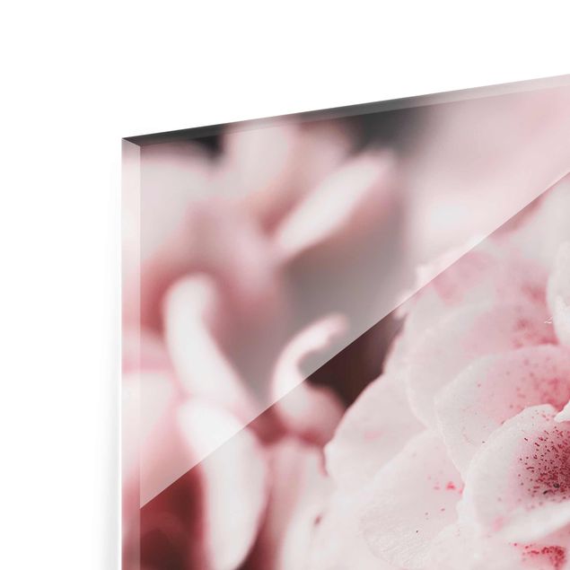 Glass print - Shabby Light Pink Rose Pastel