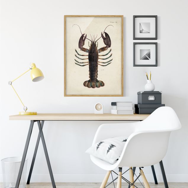 Framed poster - Vintage Illustration Lobster