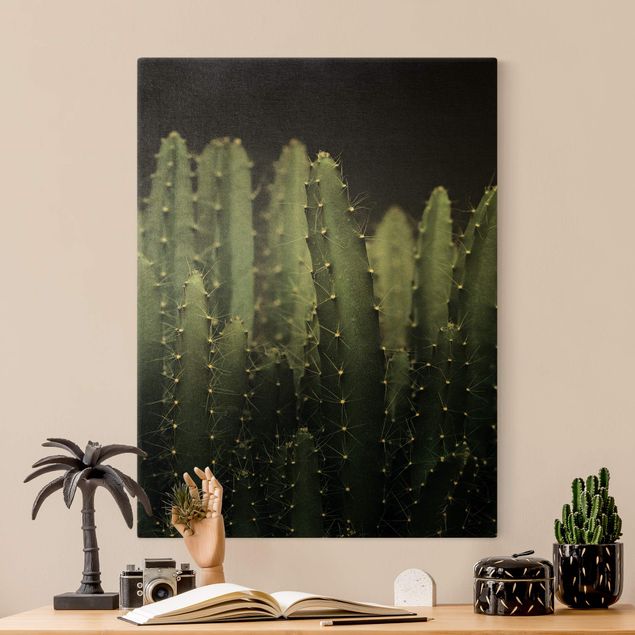 Canvas print gold - Desert Cactus At Night