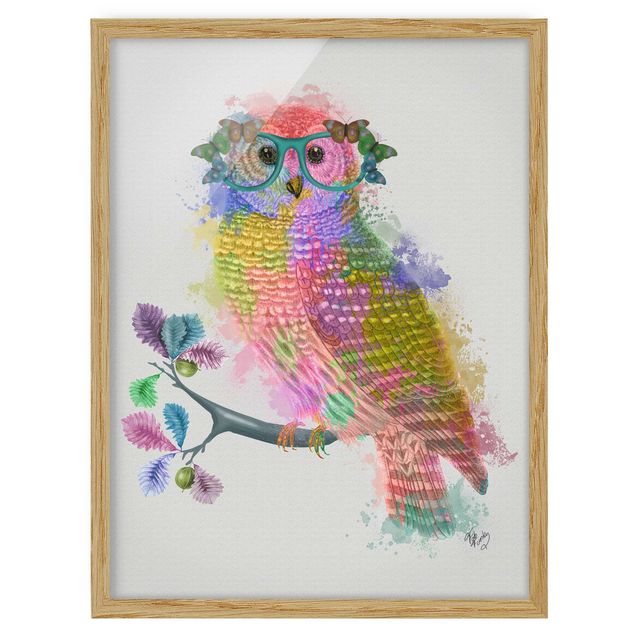 Framed poster - Rainbow Splash Owl