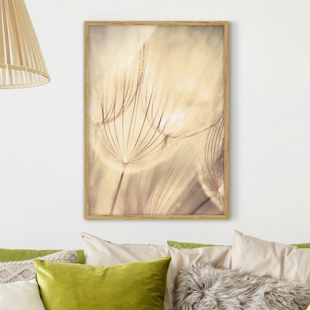 Framed poster - Dandelions Close-Up In Cozy Sepia Tones
