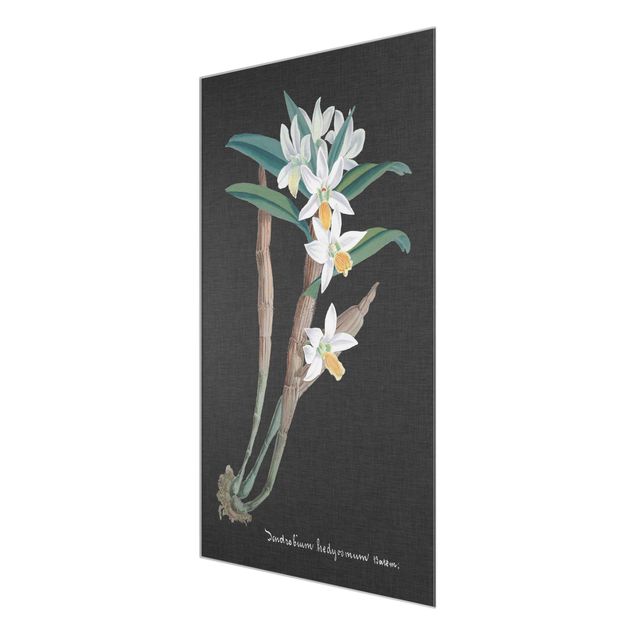 Glass print - White Orchid On Linen I