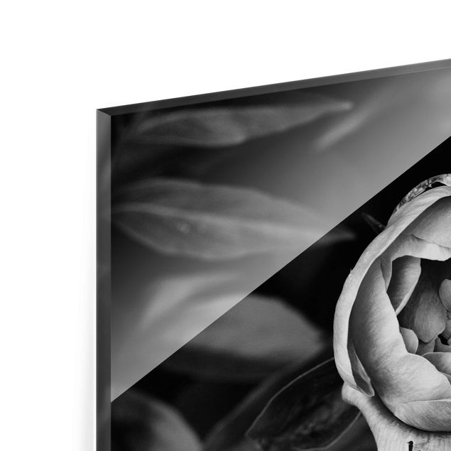 Glass print - Peonies In Front Of Leaves Black And White