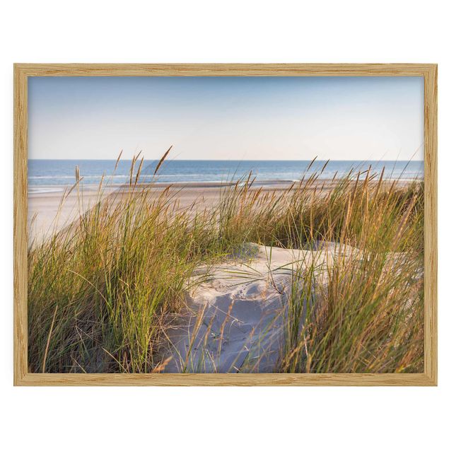 Framed poster - Beach Dune At The Sea