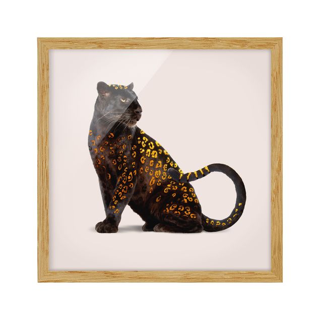 Framed poster - Golden Panthers