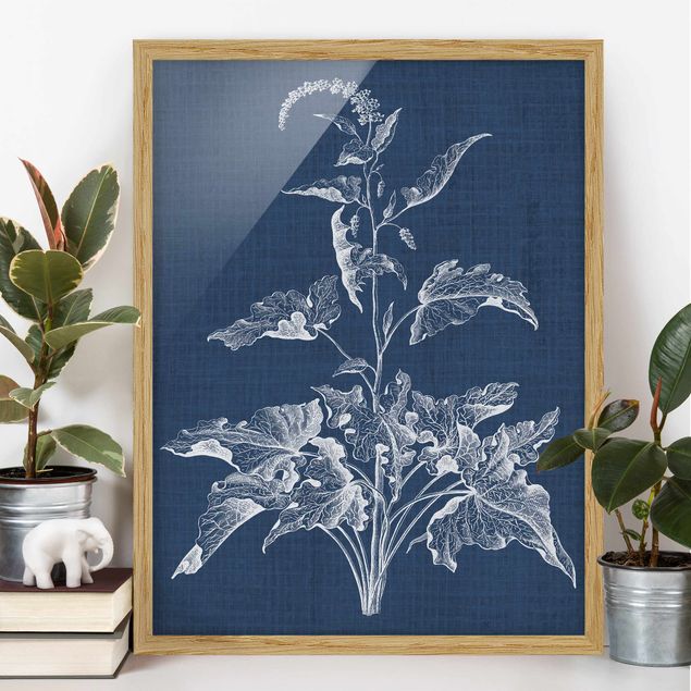 Framed poster - Denim Plant Study II