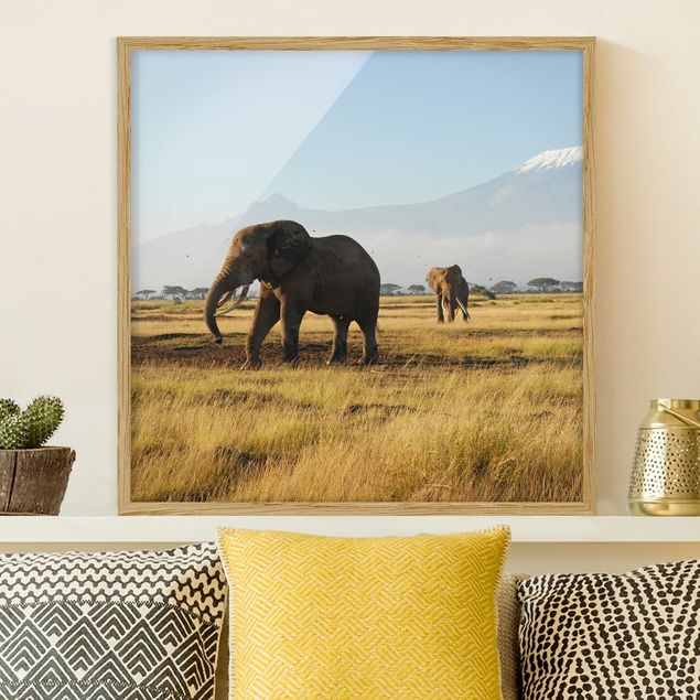Framed poster - Elephants In Front Of The Kilimanjaro In Kenya