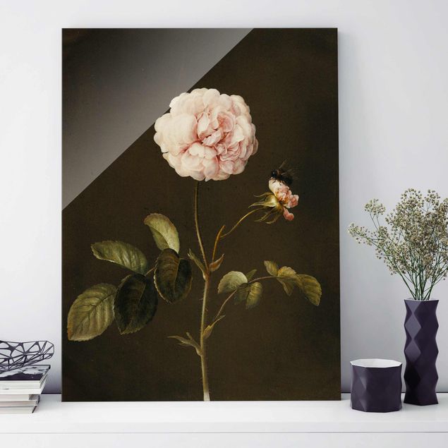Glass print - Barbara Regina Dietzsch - French Rose With Bumblbee
