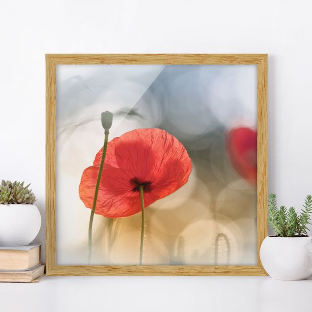Framed poster - Poppies In The Morning