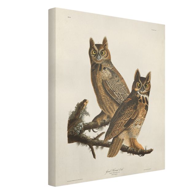 Print on canvas - Vintage Board Two Large Owls