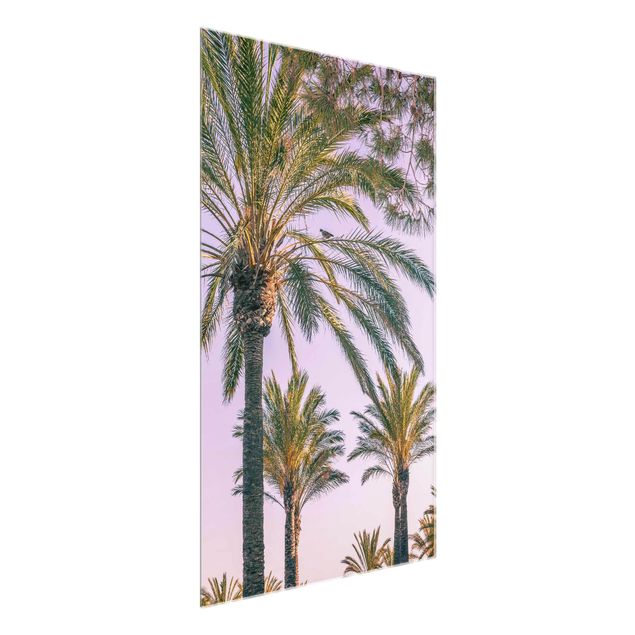 Glass print - Palm Trees At Sunset