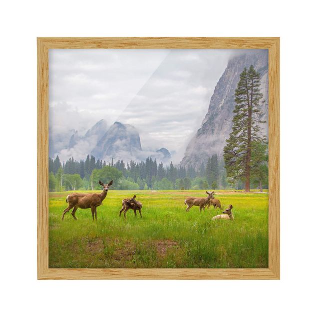 Framed poster - Deer In The Mountains