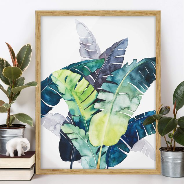 Framed poster - Exotic Foliage - Banana