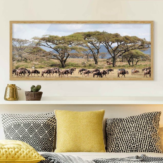 Framed poster - Herd Of Wildebeest In The Savannah