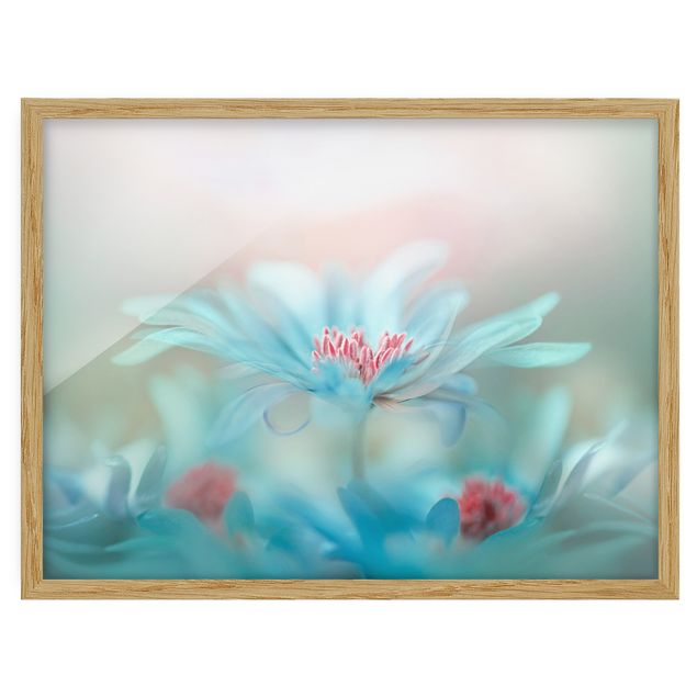 Framed poster - Delicate Flowers In Pastel