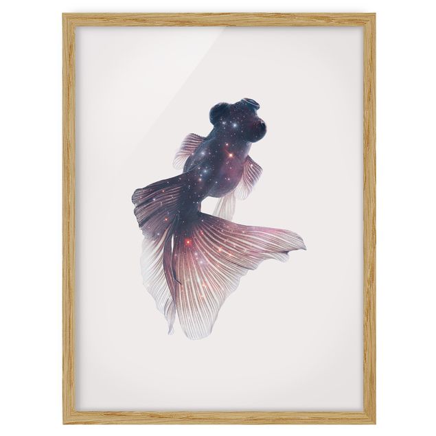 Framed poster - Fish With Galaxy