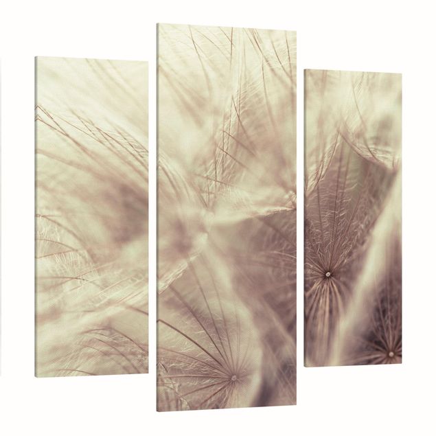 Print on canvas 3 parts - Detailed Dandelion Macro Shot With Vintage Blur Effect