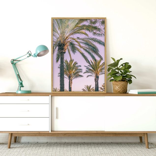 Framed poster - Palm Trees At Sunset
