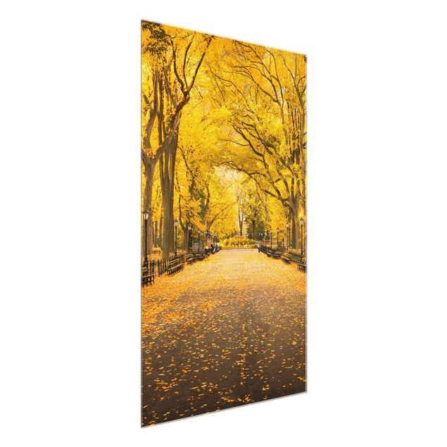 Glass print - Autumn In Central Park