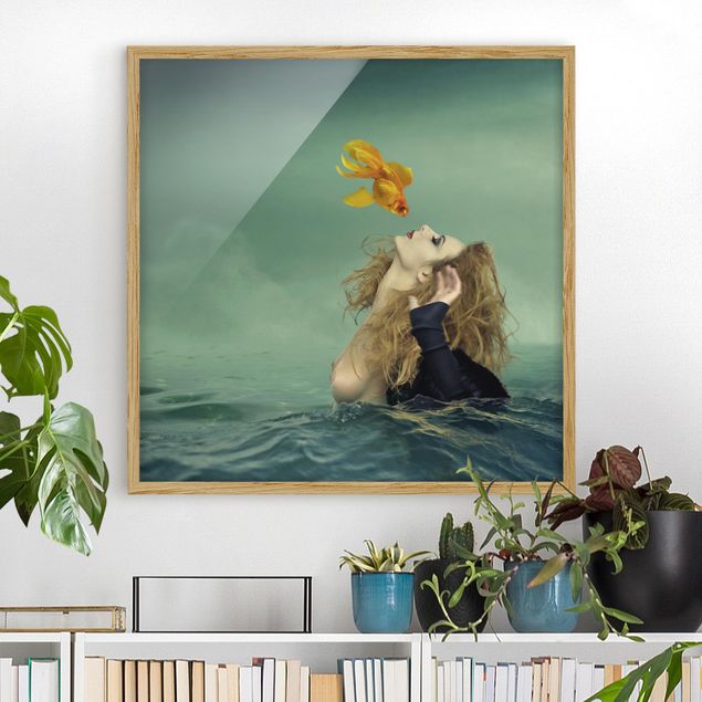 Framed poster - Kiss Of A Goldfish