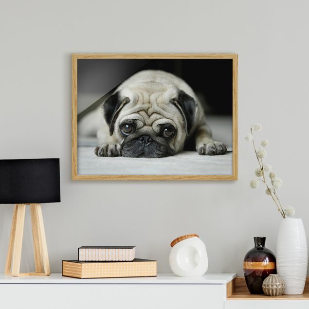 Framed poster - Pug Loves You