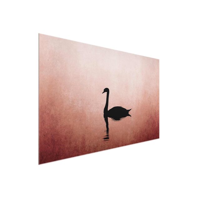 Glass print - Swan In Sunset