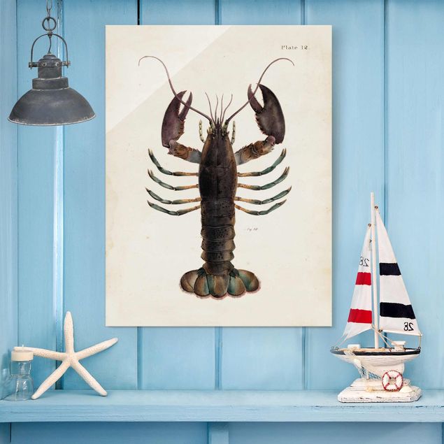 Glas Magnettafel Vintage Illustration Lobster
