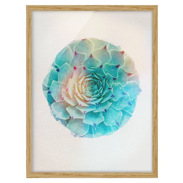 Framed poster - WaterColours - Cactus Agave