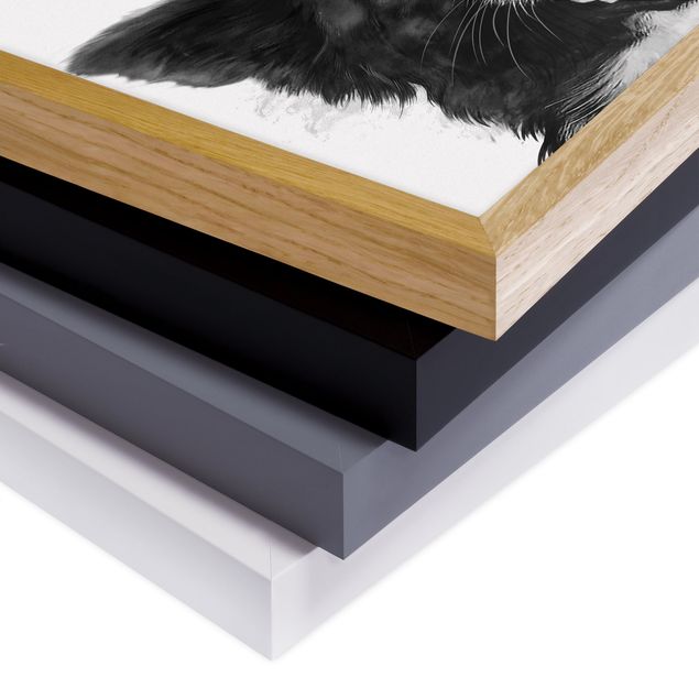 Framed poster - Illustration Dog Border Collie Black And White Painting