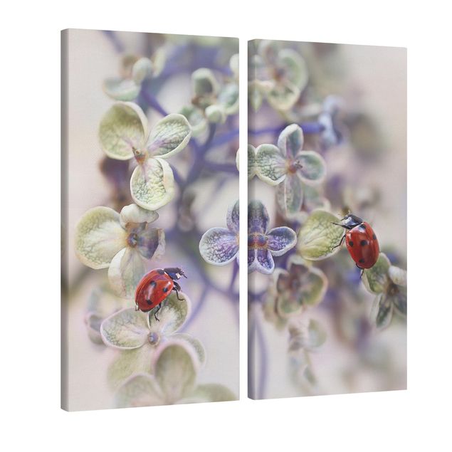 Print on canvas 2 parts - Ladybird In The Garden