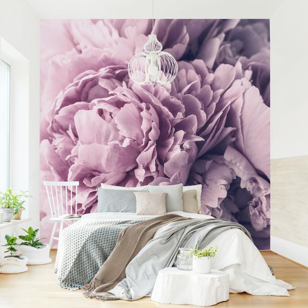 Wallpaper - Purple Peony Blossoms