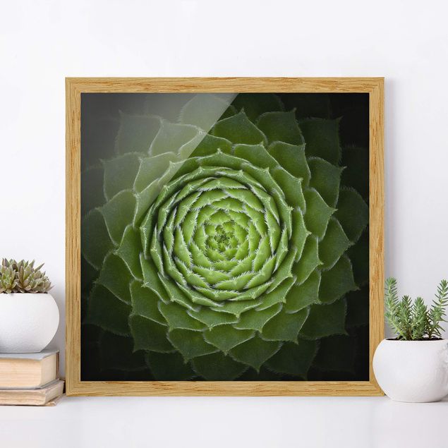 Framed poster - Mandala Succulent