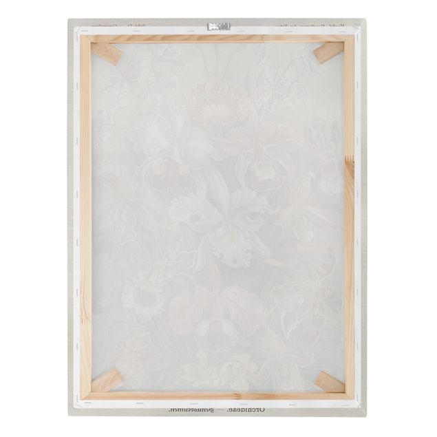 Print on canvas - Vintage Board Orchid