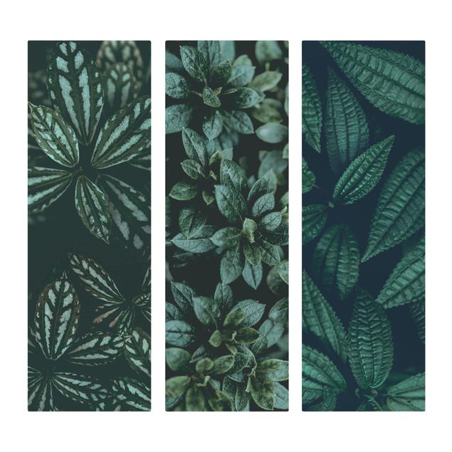 Print on canvas - Leaves Trio