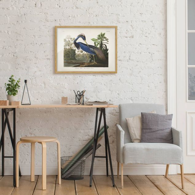 Framed poster - Vintage Board Louisiana Heron