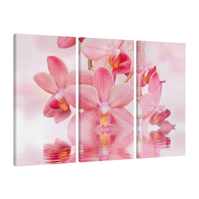 Print on canvas 3 parts - Light Pink Orchid On Water