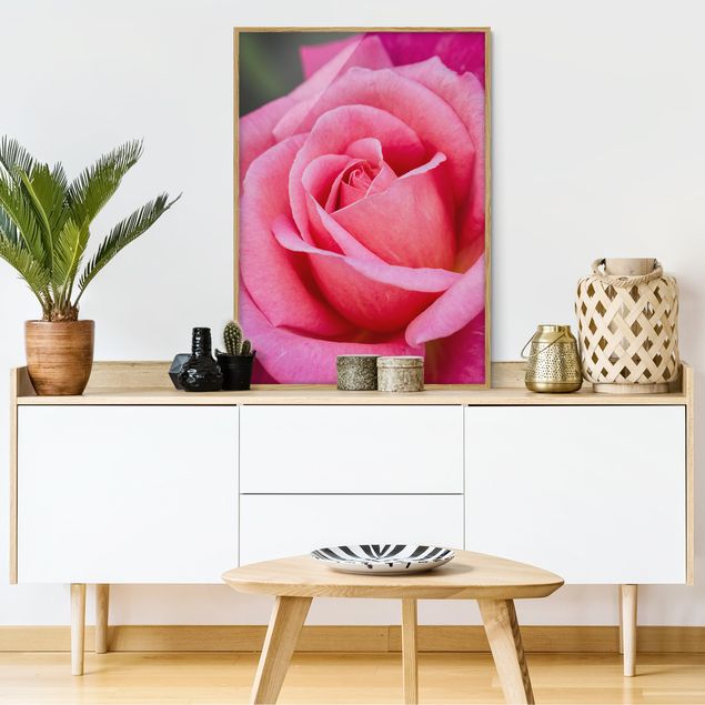 Framed poster - Pink Rose Flowers Green Backdrop