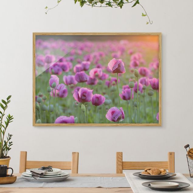 Framed poster - Purple Poppy Flower Meadow In Spring