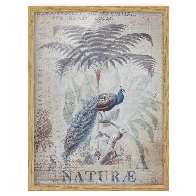 Framed poster - Shabby Chic Collage - Peacock