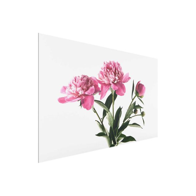 Glass print - Pink Flowers And Buds On White