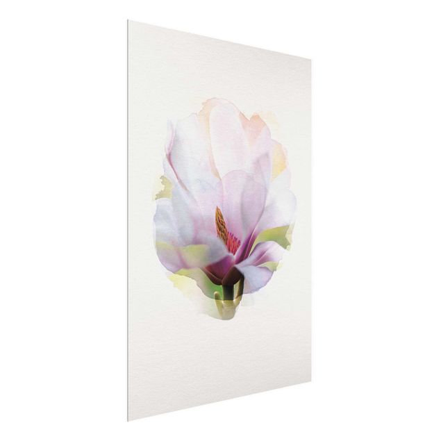 Glass print - WaterColours - Delicate Magnolia Blossom