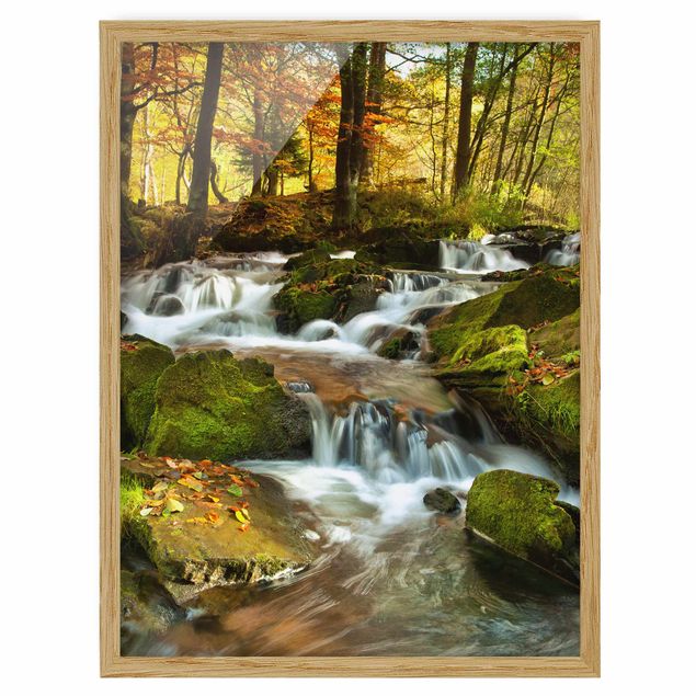 Framed poster - Waterfall Autumnal Forest