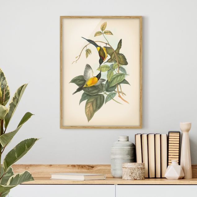 Framed poster - Vintage Illustration Tropical Birds IV