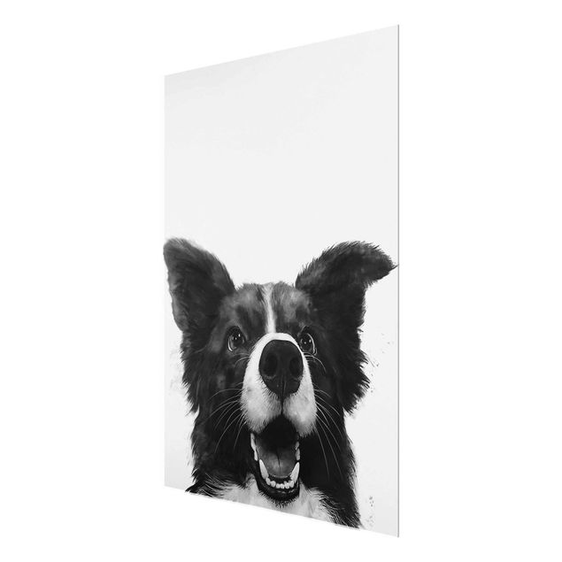Glass print - Illustration Dog Border Collie Black And White Painting