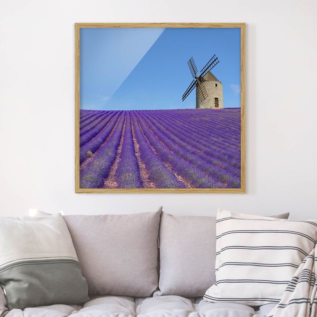 Framed poster - Lavender Scent In The Provence